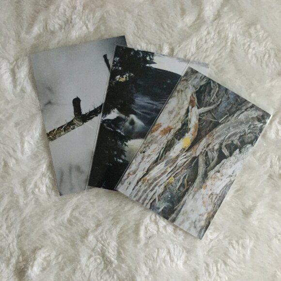 Four Canadian Winter Original Photographs Bark, Twigs, River - Picture 7 of 7